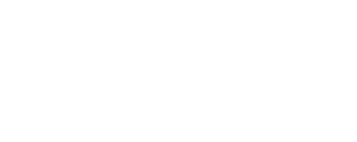 Vavřička projekce